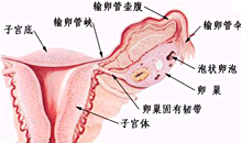 上海妇科医院健康百科